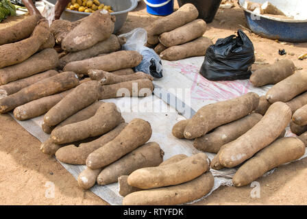 A stand of fresh manioc at Bolgatanga (Bolga) farmer's market in Ghana, West Africa. Stock Photo