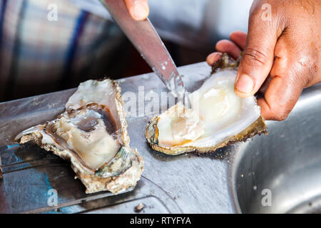 Preparing oyster ceviche Stock Photo