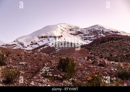 Chimborazo, the furthest point from the center of the earth, Ecuador. Stock Photo