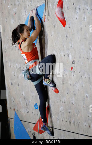 Inzai, Chiba, Japan. 3rd Mar, 2019. Akiyo Noguchi Sport Climbing : The 32nd Lead Japan Cup Women's Final at Matsuyamashita Park Gymnasium in Inzai, Chiba, Japan . Credit: Naoki Morita/AFLO SPORT/Alamy Live News Stock Photo