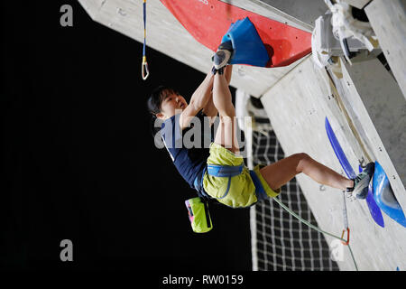 Inzai, Chiba, Japan. 3rd Mar, 2019. Natsumi Hirano Sport Climbing : The 32nd Lead Japan Cup Women's Final at Matsuyamashita Park Gymnasium in Inzai, Chiba, Japan . Credit: Naoki Morita/AFLO SPORT/Alamy Live News Stock Photo