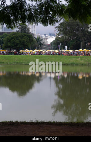 Sao Paulo, Brazil. 03rd Mar, 2019. The Carnaval in Sao Paulo grows every year, bringing huge crowds to its blocos, including this one in Ibirapuera park. Credit: LynxDaemon/Alamy Live News Stock Photo