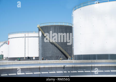 TAURANGA NEW ZEALAND - MARCH 3 2019; Three huge bulk storage tanks with black one between two white tanks. Stock Photo