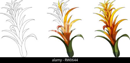 Cartoon halftone with tropical lily flower. Vector hand drown colored sketch Stock Vector