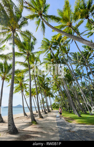 Person walking on a path under bent palmtrees along the beach, Palm Cove, Cairns Northern Beaches, Far North Queensland, QLD, FNQ, Australia Stock Photo