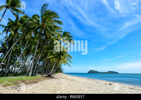 View of the beach at Palm Cove with Double Island in the background, Cairns Northern Beaches, Far North Queensland, QLD, FNQ, Australia Stock Photo