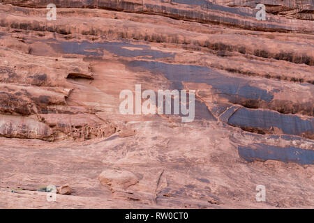 Discover remote red rock canyons and cliffs along the scenic Colorado River in Moab, Canyonlands of Utah. See the unique geological land formations. Stock Photo