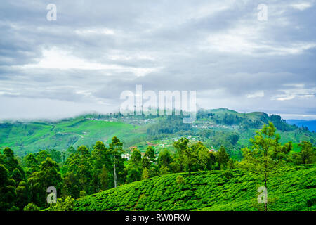 Tea Plantation from Lipton Seat next to to Haputale, Sri Lanka Stock Photo
