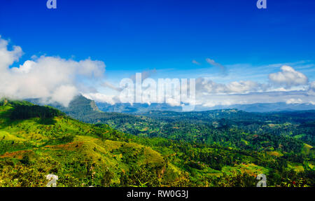 View on green mountain landscape next to Haputale, Sri Lanka Stock Photo