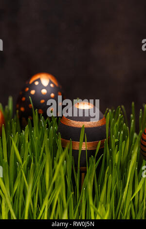 Composition with gold and black eggs hiding in grass. Easter concept Stock Photo