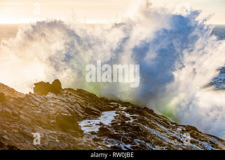 The cold waters of the Pacific Ocean, crashing against the rocky coastline in Sonoma, California, USA, Pacific Ocean Stock Photo