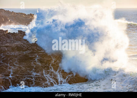 The cold waters of the Pacific Ocean, crashing against the rocky coastline in Sonoma, California, USA, Pacific Ocean Stock Photo