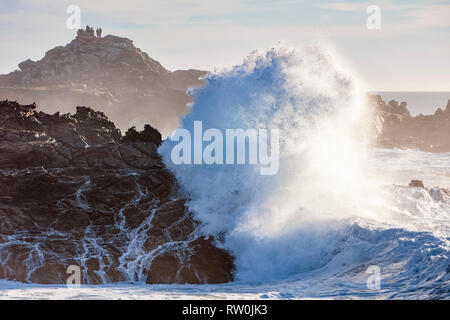 The cold waters of the Pacific Ocean, crashing against the rocky coastline in Sonoma, California, USA, Pacific Ocean Stock Photo