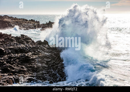 The cold waters of the Pacific Ocean, crashing against the rocky coastline in Sonoma, California, USA, Pacific Ocean Stock Photo