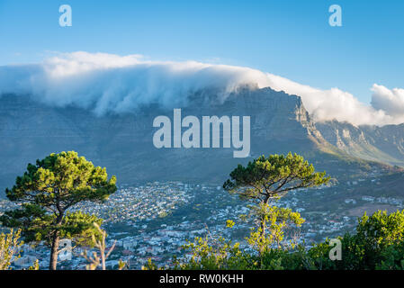 The view from Signal Hill, Cape Town, South Africa Stock Photo