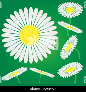 Set of Chamomile flowers, camomile isolated on green background, vector illustration Stock Vector