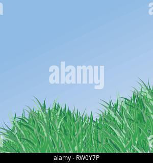 Spring vector background with green grass Stock Vector