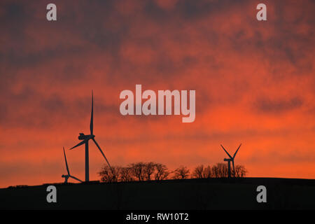 Wind turbines against a dramatic red sky with a small stand of trees in silhouette in the background Stock Photo