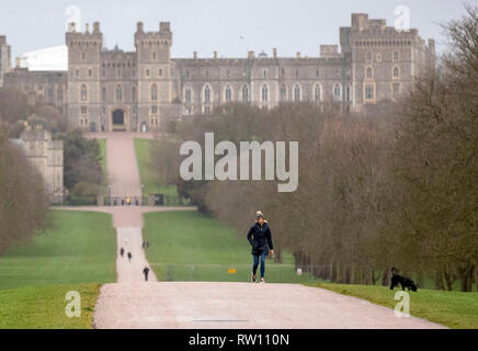 Dog walkers on the Long Walk at Windsor Castle in Berkshire. Stock Photo
