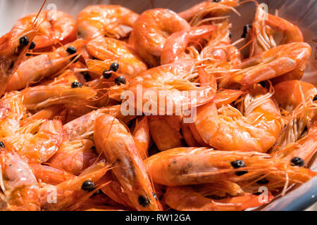large red Mediterranean shrimp cooked for dinner Stock Photo