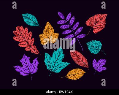 Autumn decorative leaves set. Nature concept. Vector illustration Stock Vector