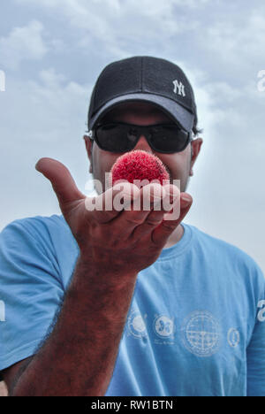 A portrait of a man wearing a black cap holding a red round  fruit on his hand in the Mole national Park, Ghana Stock Photo