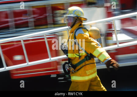 A fireman in full turnouts is carrying a ladder at a fire site, USA Stock Photo