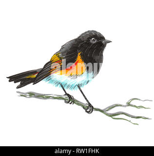 Bird on a tree branch. ink black and white illustration Stock Photo - Alamy