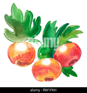 Persimmon fruit on a tree. Watercolor painting Stock Photo