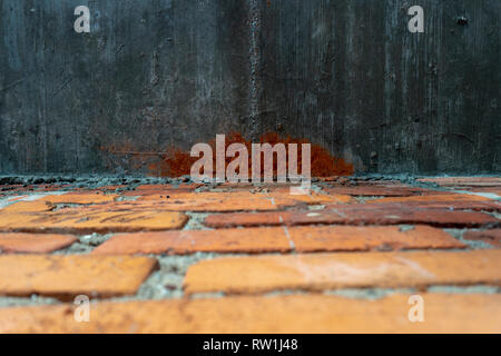 Low angle view across brick paving to a grungy grey exterior wall with brown red stain or fungal growth on the surface, with copy space Stock Photo