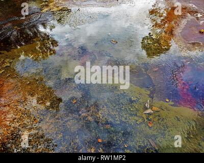 Abstract Naturally.  Reflections in the creek bed, Dale Gorge Karijini National Park Stock Photo