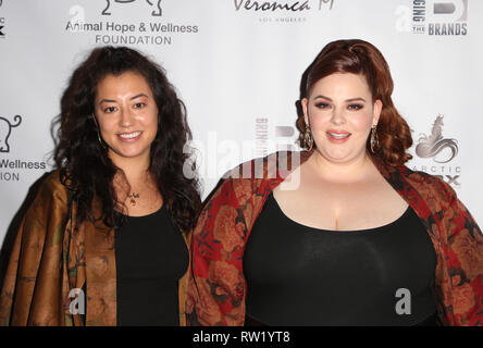 Models (left to right) Tess Holliday, Kelly Knox, Callie Thorpe, Felicity  Hayward, Sonny, Ali Tate and Hayley Hasselhof at a photo call for the Curve  Catwalk, a fashion show celebrating diversity of