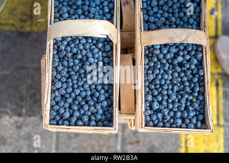 Two wooden baskets filled with blueberries (Vaccinium Cyanococcus) at the Bronisze Wholesale Market - one of the biggest fruits and vegetables markets Stock Photo