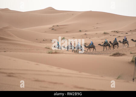 Line of Travelers on Camel Among the Erg Chabbi Dunes, Merzouga, Morocco Sahara Desert Stock Photo