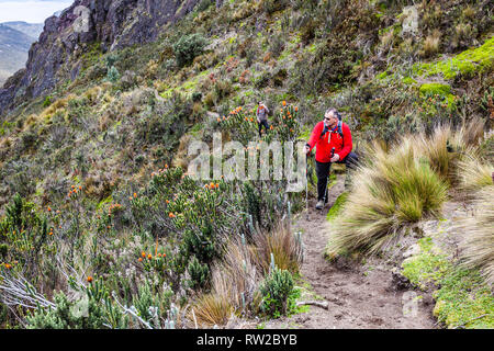 Machachi, Ecuador, August 2018: Group of unidentified climbers take a break while walking through the Andean paramo towards the top of the Rumiñahui v Stock Photo