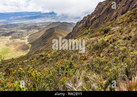 Group of climbers walk through the Andean paramo towards Rumiñahui Stock Photo