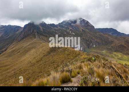 Group of climbers walk through the Andean paramo towards Rumiñahui Stock Photo