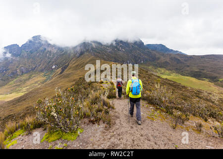 Group of climbers walk through the Andean paramo towards Rumiñahui Stock Photo