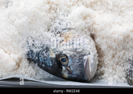 Gilthead breams cooked in salt. Baked fish (doradas). Stock Photo