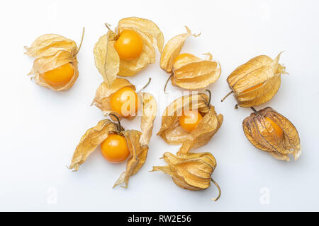 Flowers and fruits of Fisalis (Physalis peruviana) isolated on white background. Viewed from above. Stock Photo