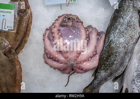 Octopus for sale in La Boqueria Food Market in Barcelona ,Spain Stock Photo