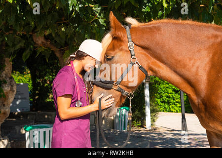 Portrait of young female equestrian veterinarian in emotional momment with brown horse at an animal park. Stock Photo