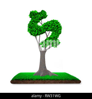 Concept of developing green circular economy and providing green friendly technology, tree with green leaves in dollar sign shape on meadow with mud,  Stock Photo