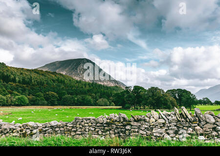 Majestic landscape of rural Lake District, Cumbria,UK.Stone wall on pasture, trees growing on hill slope and mountain peak in background with cloudy b Stock Photo