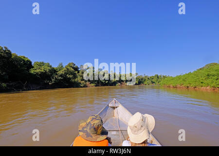 Boat with two unrecognizable tourists driving on the Aquidauana river in the brazilian Pantanal, Brazil, South America Stock Photo