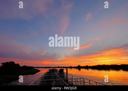 Cattle pontoon boat on Rio Paraguay river at sunrise, Corumba, Pantanal, Mato Grosso, Brazil, South America Stock Photo