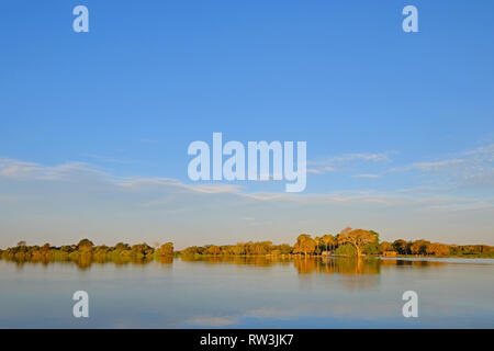 Rio Paraguay River between Corumba and Porto Jofre, Pantanal landscape, Mato Grosso do Sul, Brazil Stock Photo