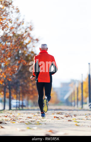 Rear view of one senior man in sport clothes jogging in the park in a sunny day Stock Photo