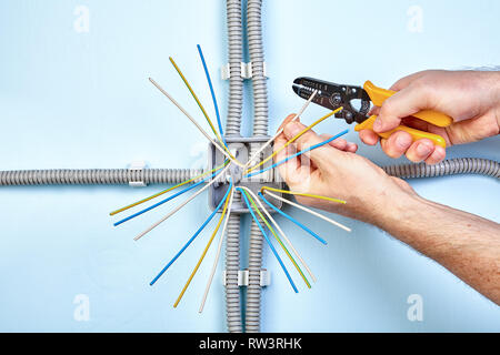 Electrician uses the wire strippers to remove of insulation from the tip of each of the wires. Stock Photo