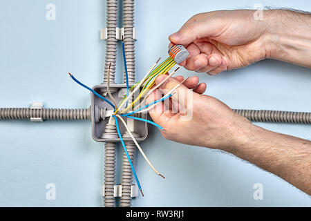 Electrician uses spring terminals to bind wires together durind mounting electrical junction box. Stock Photo